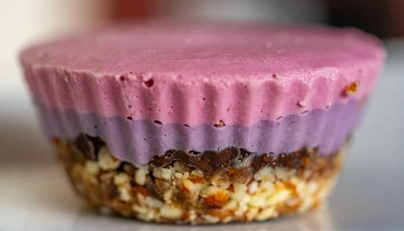 Gaia Gourmet plant-based dessert