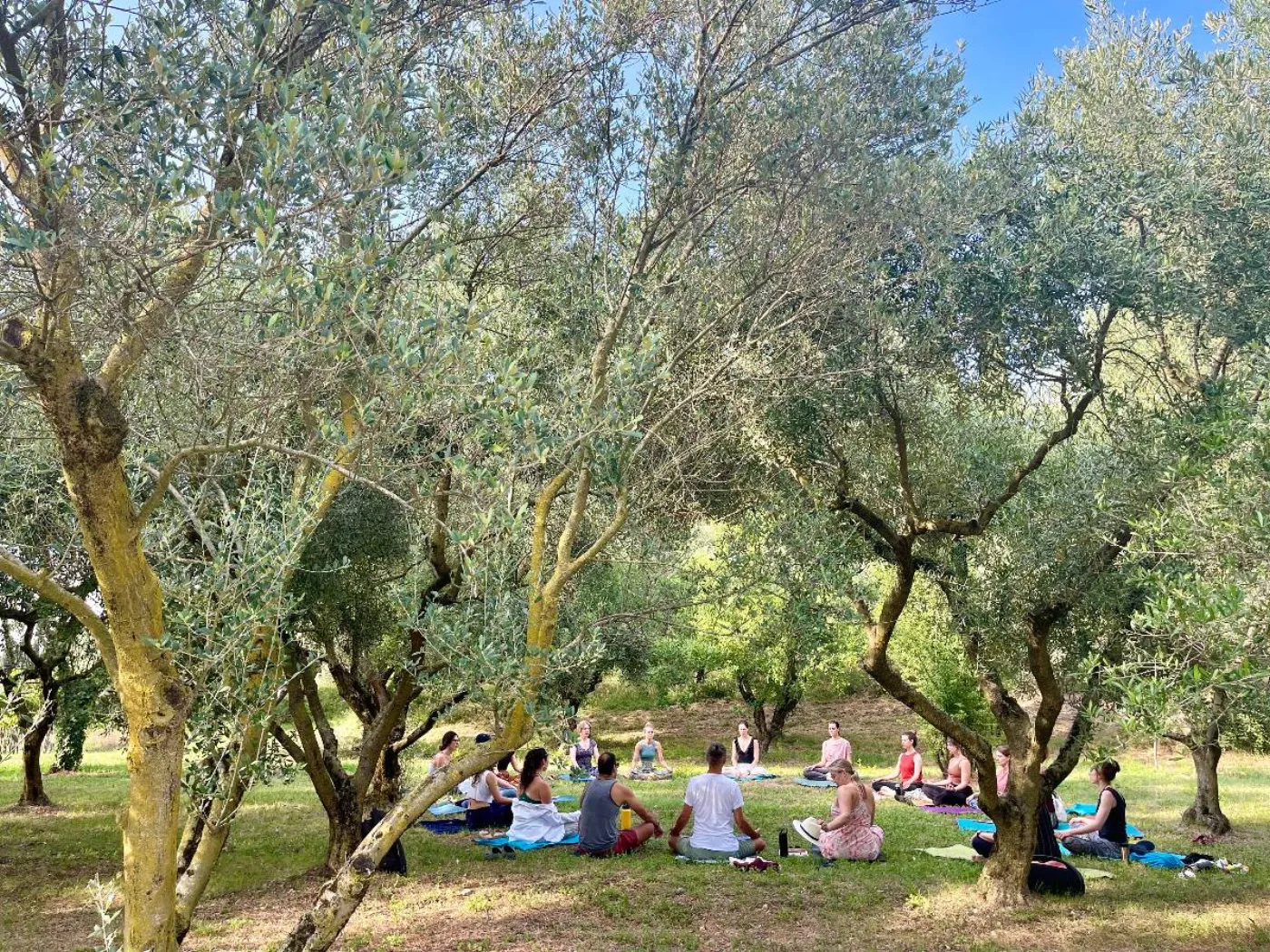 Students sitting in a circle in an outdoor classroom among olive trees in Italy